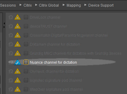 igel_nuance-channel-for-dictation.png