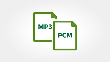 MP3- und PCM-Stereoaufnahmen für klare Wiedergabe und einfaches Teilen von Dateien